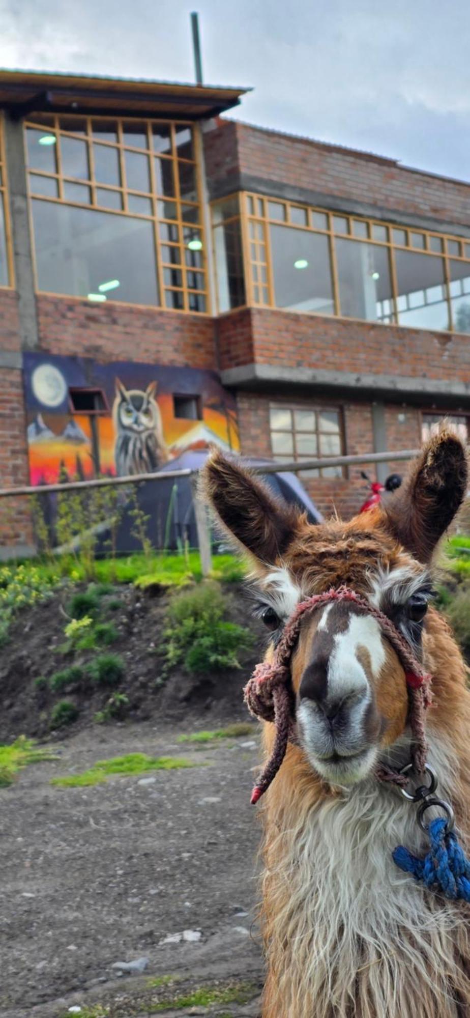 Cuscungo Cotopaxi Hostel & Lodge Chasqui المظهر الخارجي الصورة